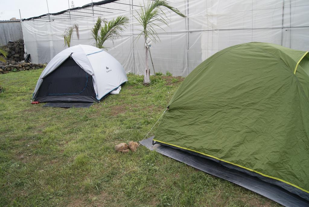 Camping Invernaderito Tejina Εξωτερικό φωτογραφία